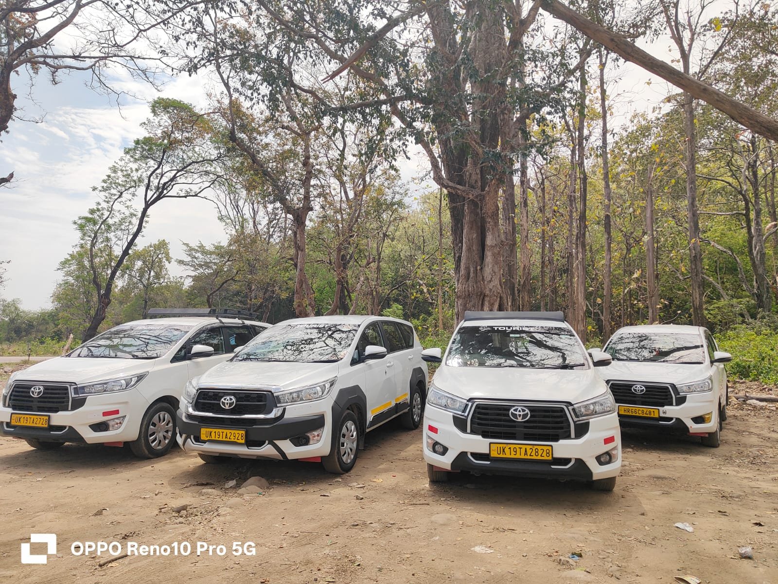 Reliable Taxi Service tourist vehicles in a forest area
